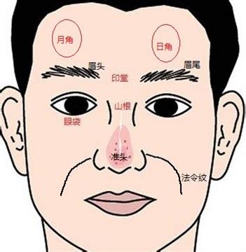 日月角帝王|日月角:簡要介紹,相理分論,日角,月角,吉凶預兆,